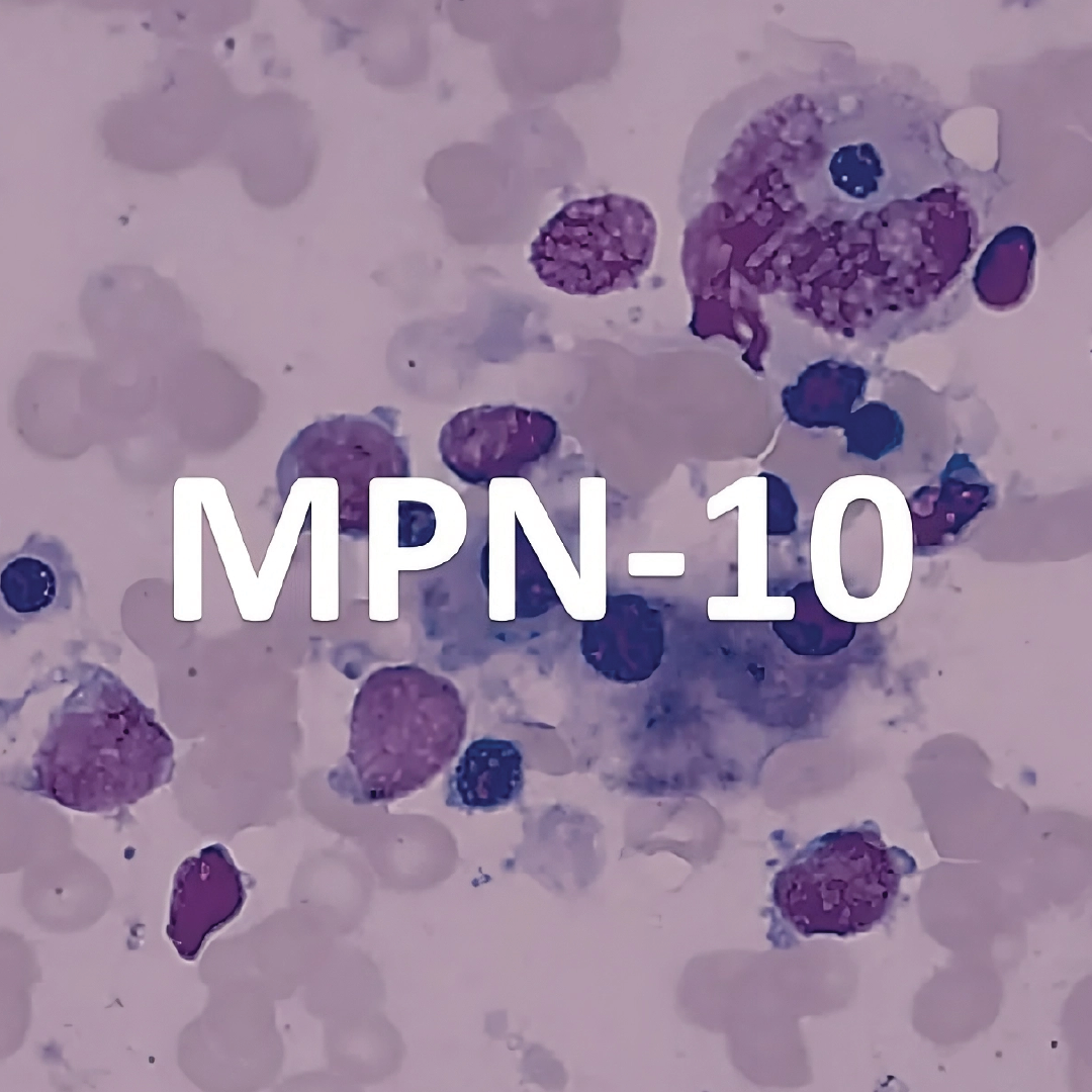 Logos Projetos_MPN-10