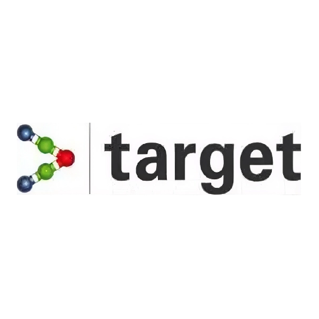 Logos Projetos_target